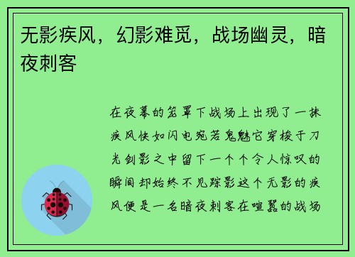 无影疾风，幻影难觅，战场幽灵，暗夜刺客